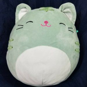 Squishmallows Chase the Cat Mint Green Tabby Kitty Cat 8"